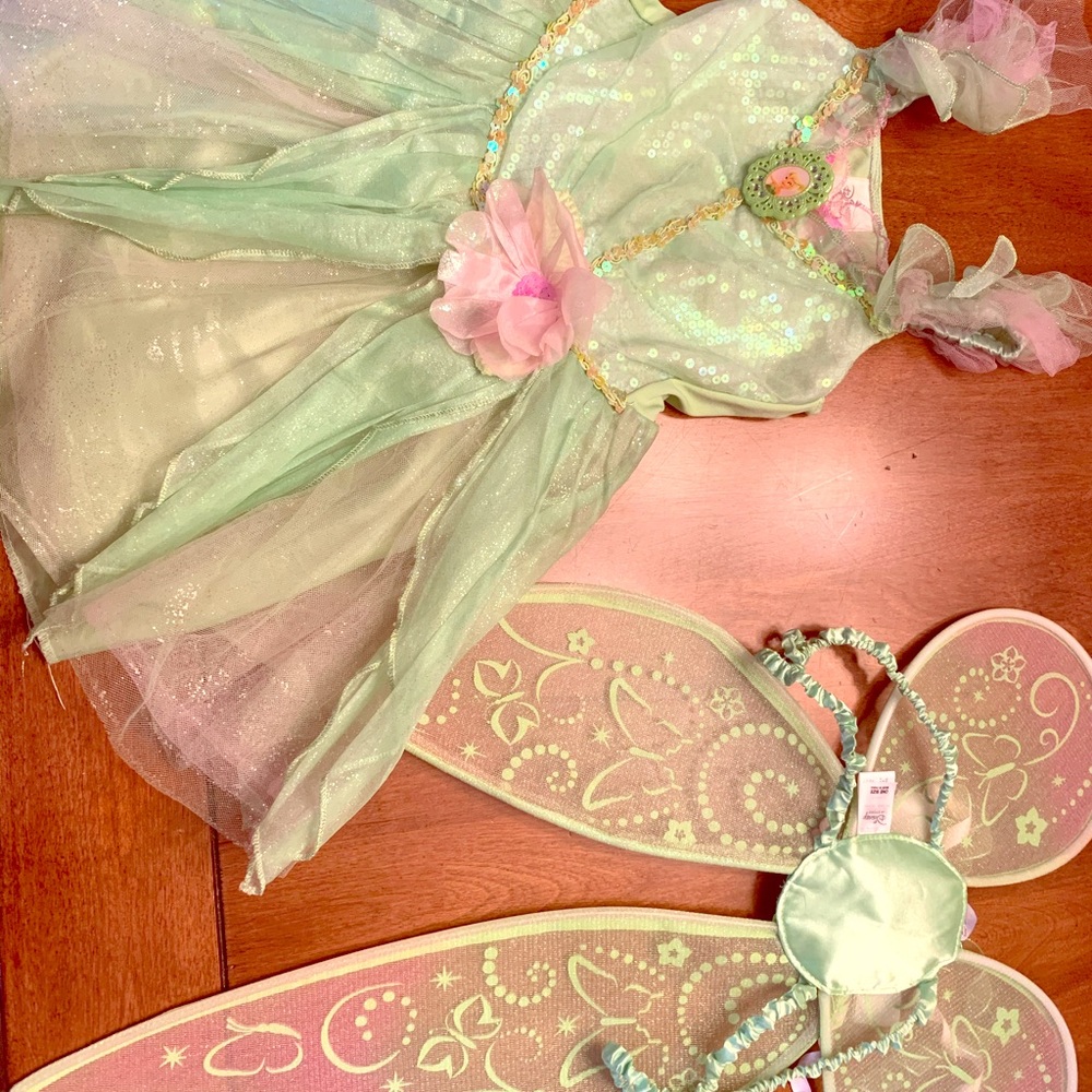 Tinkerbell dress with wings